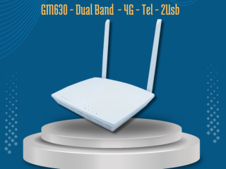 gm630-dual-band-4g-tel-2usb
